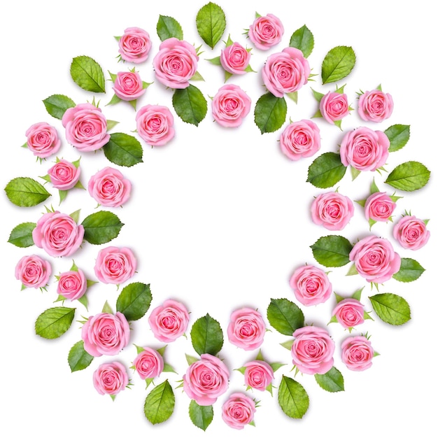 Rond frame wreath made of pink roses isolated on white background