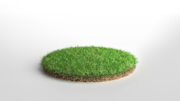 Rond groen grasland stuk geïsoleerd op een witte achtergrond 3d illustratie