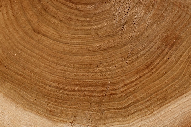 Rond hout achtergrond close-up