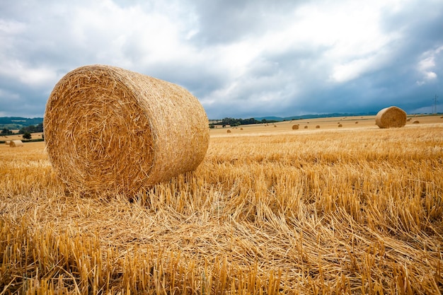 Ronde balen droog stro op landbouwgrond