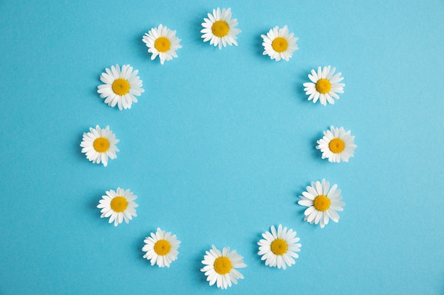 Foto ronde bloemen frame op blauw papier achtergrond