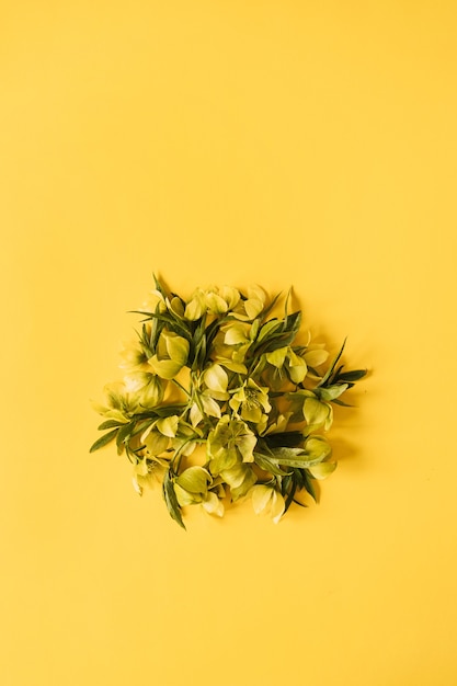 Ronde bloemensamenstelling met Nieskruid bloemen schoof op geel