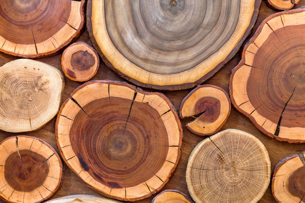 Ronde houten ongeverfde massieve natuurlijke ecologische zacht gekleurde bruine en gele gecraqueleerde stompen, boomgesneden secties met jaarringen verschillende maten en vormen, achtergrondstructuur.