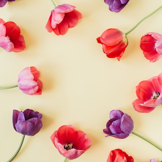 Ronde krans frame kopie ruimte sjabloon. Kleurrijke tulpenbloemen