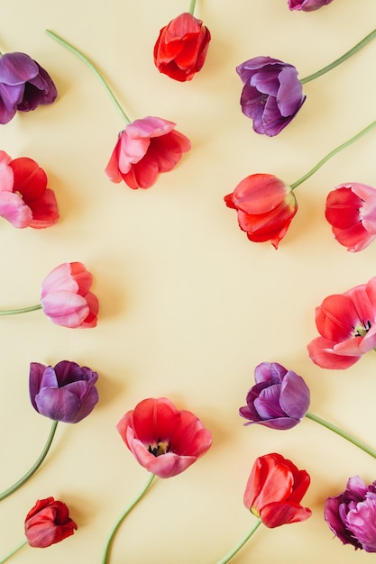 Foto ronde krans frame kopie ruimte sjabloon. kleurrijke tulpenbloemen