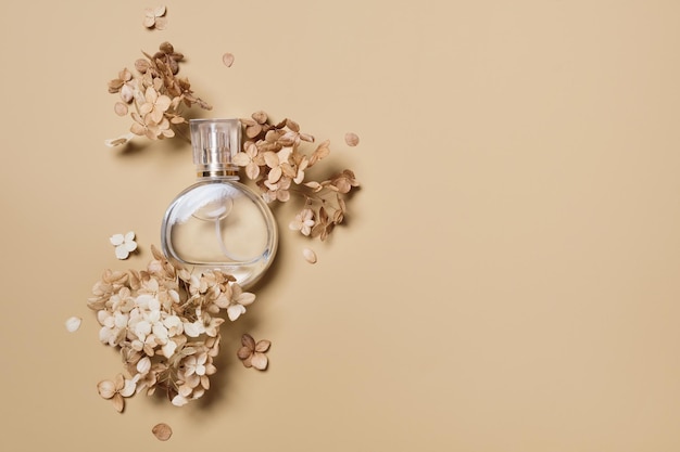 Ronde parfumflesmodel en droge hortensiabloemen op beige achtergrond Natuurlijke aardse kleuren kopiëren ruimte