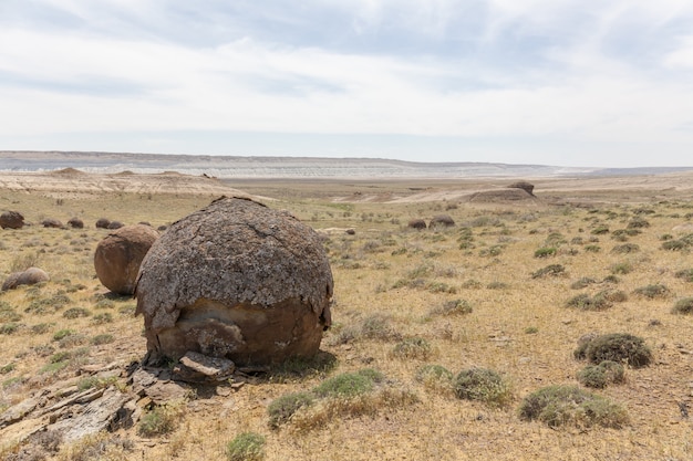 Ronde rotsen in Ustyurt Plateau, Mangystau Region, het zuidwesten van Kazachstan.