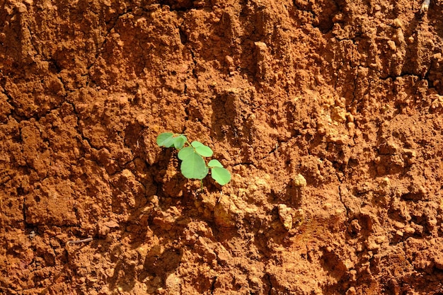 rood bodemoppervlak blootgesteld aan regenwater. klei grondstof voor aardewerk. natuur concept achtergrond