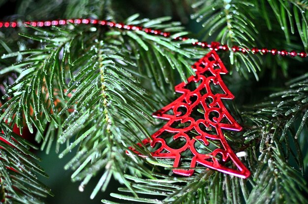 Foto rood boom ornament op kerstboom