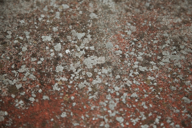 Rood gekleurde cementmuur met schimmel, oude textuur met schimmel.