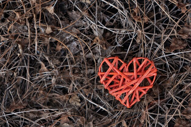 rood gevlochten hart is een symbool van warmte en liefde. droog gras