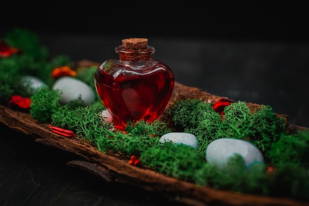 Rood gif in een hartvormige fles ligt in de schors van een boom met mos en stenen op een zwarte