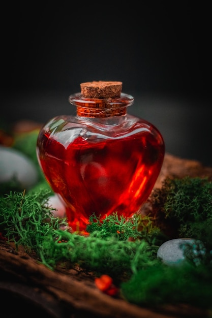 Rood gif in een hartvormige fles ligt in de schors van een boom met mos en stenen op een zwarte