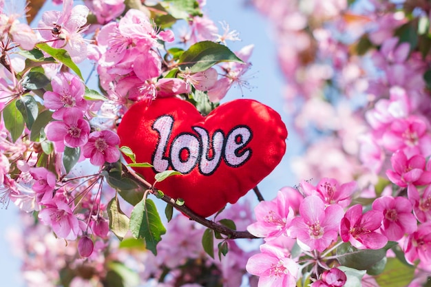 Rood hart in appelbloesems Concept over liefde en relatie Valentijnsdag concept