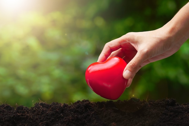 Rood hart in de hand van de vrouw op de natuurachtergrond