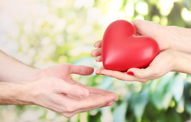 Rood hart in handen van vrouw en man, op groene achtergrond