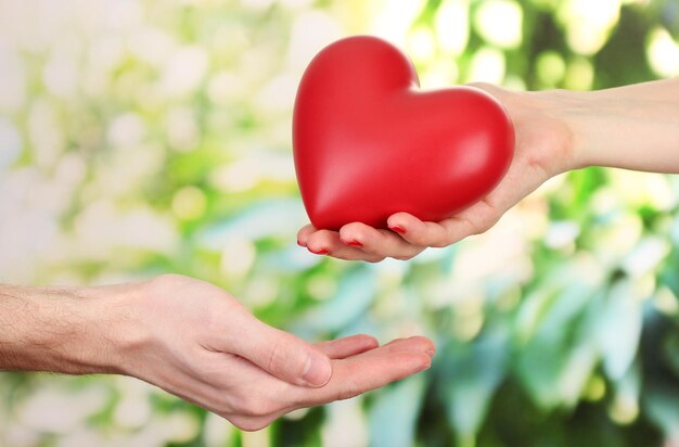 Rood hart in handen van vrouw en man, op groene achtergrond