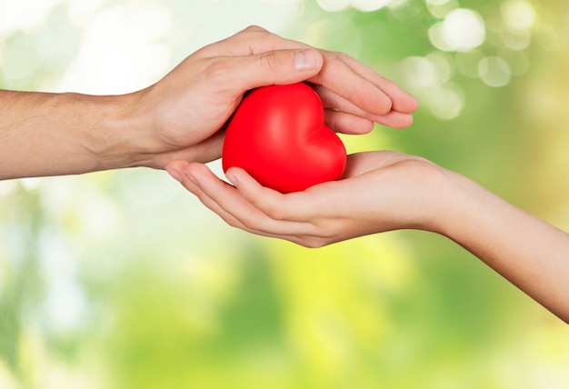 Rood hart in handen van vrouw en man, op groene achtergrond