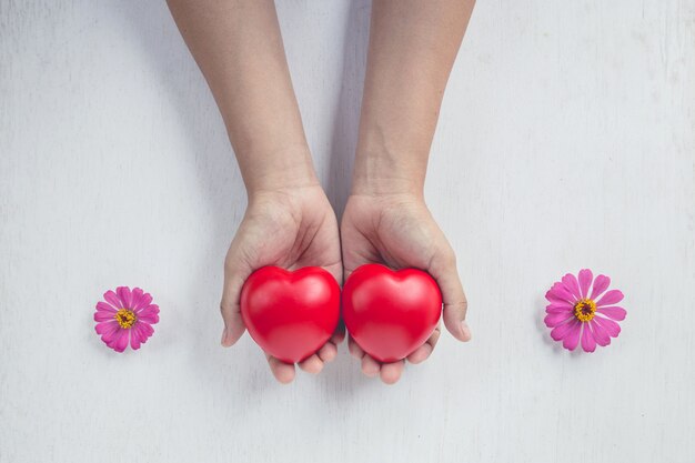 Rood hart op meisjeshand