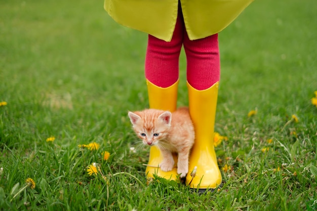 Rood katje zit op gele rubberen laarzen van een meisje