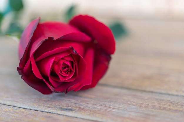 Rood nam de mooie bloemen van de bloemaard van de tuin voor valentijnskaarten op houten vloer toe