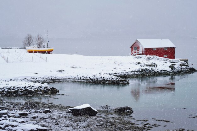 Rood rorbuhuis in de winter, Lofoten-eilanden, Noorwegen