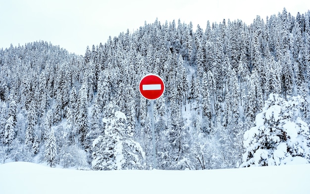 Rood stopbord in een besneeuwd bergbos