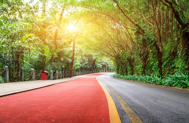 Rood wandelpad