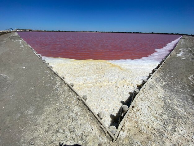 Foto rood zoutbekken