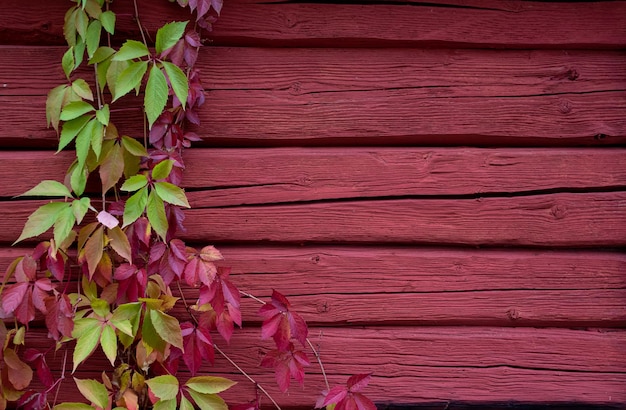 roodgroene herfstbladeren op een rode houten achtergrond