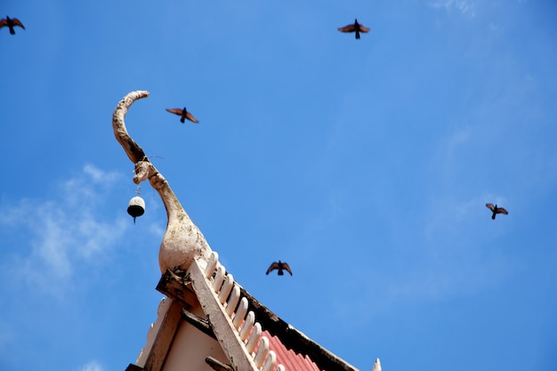 Roof, and birds.