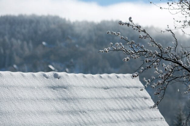 雪の下の屋根