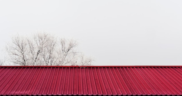 The roof tiles of winter. Tree with snow.