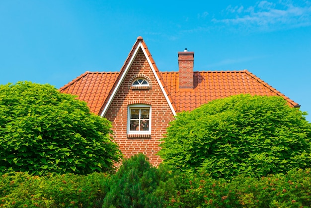 茂みに隠された典型的なドイツの家の屋根。背景の澄んだ青い空
