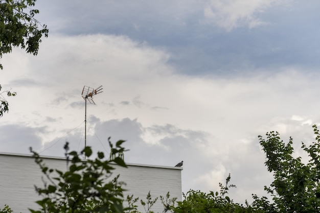 Roof of a white brick house with a pigeon