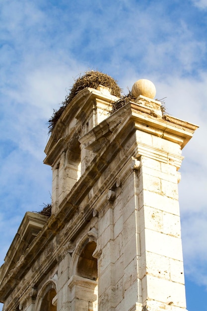 roof with storks