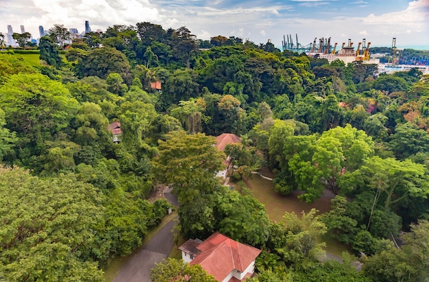 Roofs of houses in the jungle the huge busiest logistic port in\
singapore on background plenty of cr...