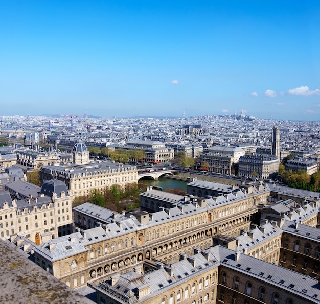 Roofs of Paris photographed from the tower of Notre Dame