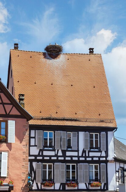 Rooftops with storks in the city of Ribeauville