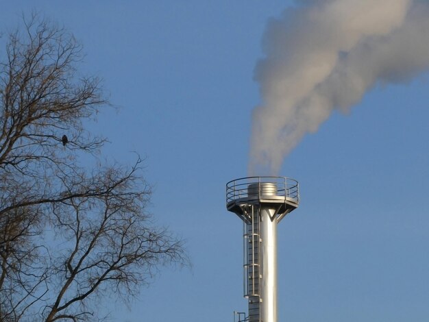 Rook spuwt uit een schoorsteen bij een industriële fabriek in de buurt van de bomen met vogel