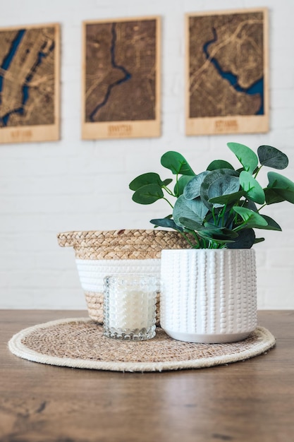 Photo room decor candle green plant and wicker basket closeup interior details