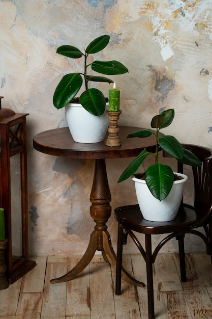 Room decor with potted plants on wooden table and lantern