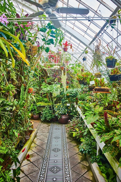 テーブルの上に鉢の植物が並び鉢にぶら下がっている温室の部屋