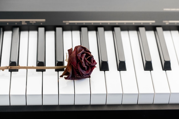 Roos op een piano