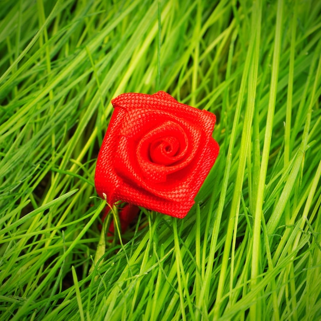 Roos van textiel op een achtergrond van groen gras