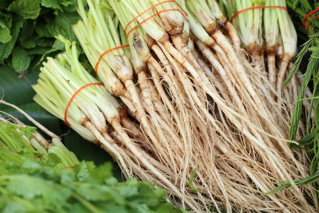 root coriander at the market