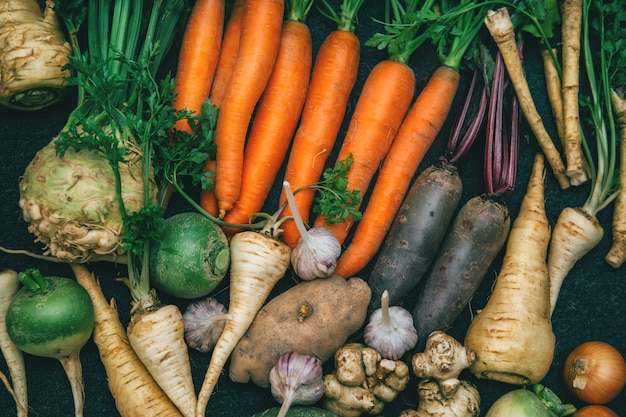 Root crops, carrots, parsley root, turnip, onion, garlic, Jerusalem artichoke, horseradish. Root crops background.