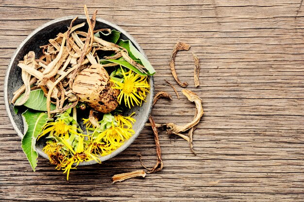 Root and flowers of inula