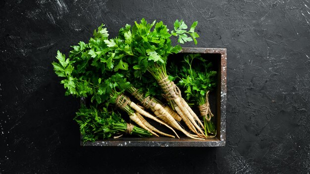 Root parsley and parsley on a black background Top view Free space for your text