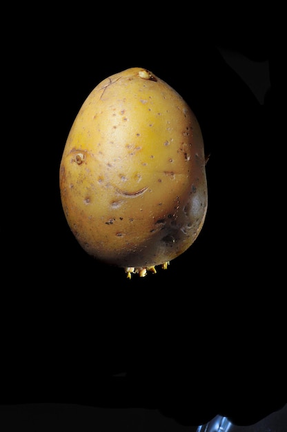 Root potato on a black background looks like a face